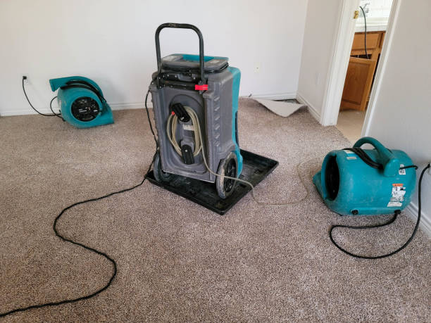  Wolf Point, MT Water damage restoration Pros