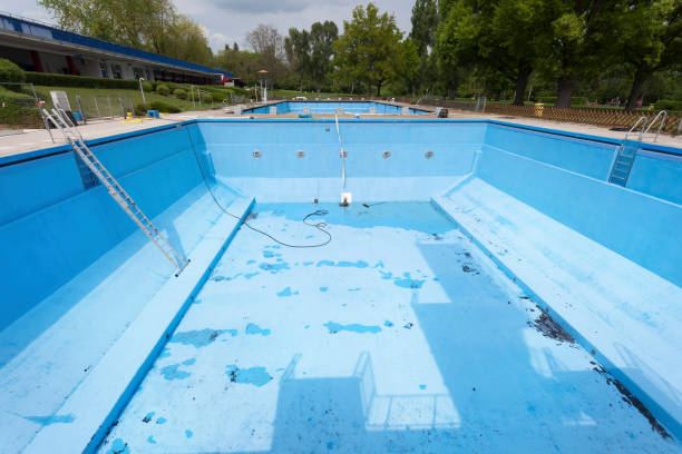 Best Basement water damage restoration  in Wolf Point, MT