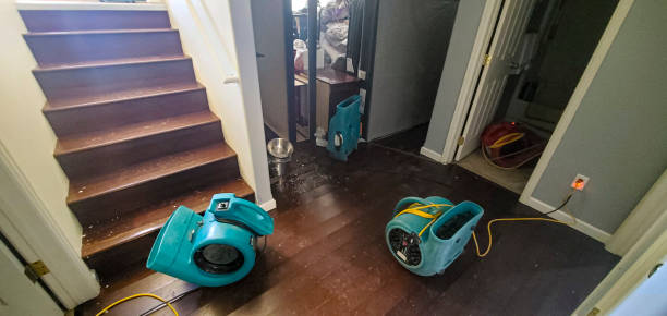Best Residential water damage restoration  in Wolf Point, MT