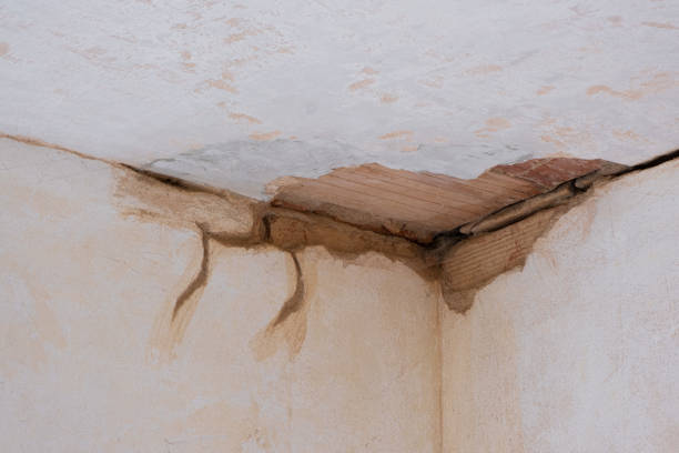 Best Water damage restoration cost  in Wolf Point, MT