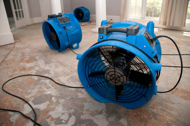Best 24-hour water damage restoration  in Wolf Point, MT