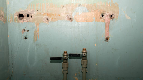 Best Ceiling water damage repair  in Wolf Point, MT