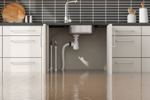  Wolf Point, MT Water damage restoration Pros