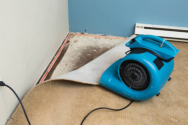 Best Fire Damage Restoration  in Wolf Point, MT