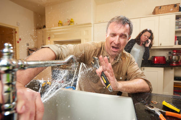 Best Basement water damage restoration  in Wolf Point, MT